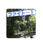 らぶらぶ日常スタンプ（個別スタンプ：11）