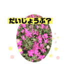 らぶらぶ日常スタンプ（個別スタンプ：23）