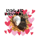 らぶらぶ日常スタンプ（個別スタンプ：27）