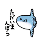 ぎょギョ魚 スタンプ（個別スタンプ：5）