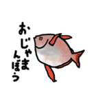 ぎょギョ魚 スタンプ（個別スタンプ：24）