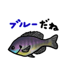ぎょギョ魚 スタンプ（個別スタンプ：36）