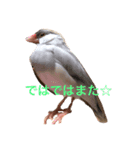 日々クルターク（個別スタンプ：3）