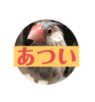 日々クルターク（個別スタンプ：5）