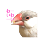 日々クルターク（個別スタンプ：6）