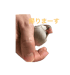 日々クルターク（個別スタンプ：7）