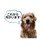 羽根木の三姉妹（個別スタンプ：10）