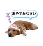羽根木の三姉妹（個別スタンプ：31）