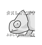 シュールでおかしな動物達1（個別スタンプ：5）