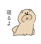 オトコの犬（個別スタンプ：2）