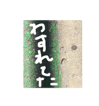 顔見つける症候群（KMS）1（個別スタンプ：3）
