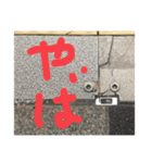 顔見つける症候群（KMS）1（個別スタンプ：9）
