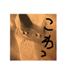 顔見つける症候群（KMS）1（個別スタンプ：10）
