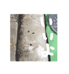 顔見つける症候群（KMS）1（個別スタンプ：14）