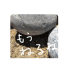 顔見つける症候群（KMS）1（個別スタンプ：20）