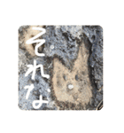 顔見つける症候群（KMS）1（個別スタンプ：31）