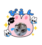 ねこスタンプ なつみちゃん＆きゃべつ君（個別スタンプ：18）