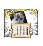 ねこスタンプ なつみちゃん＆きゃべつ君（個別スタンプ：19）