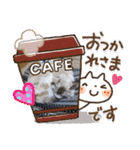 ねこスタンプ なつみちゃん＆きゃべつ君（個別スタンプ：27）