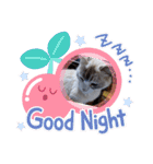 ねこスタンプ なつみちゃん＆きゃべつ君（個別スタンプ：28）