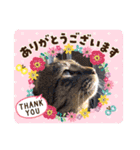 ねこスタンプ なつみちゃん＆きゃべつ君（個別スタンプ：30）