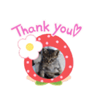 ねこスタンプ なつみちゃん＆きゃべつ君（個別スタンプ：31）