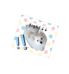手作り感あるれるわんだふるスタンプ（個別スタンプ：27）