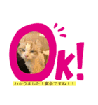 MY name is ashuuu（個別スタンプ：1）
