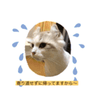 MY name is ashuuu（個別スタンプ：5）