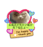 MY name is ashuuu（個別スタンプ：6）