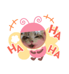 MY name is ashuuu（個別スタンプ：7）