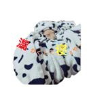ワンワンパラダイスPart2（個別スタンプ：8）