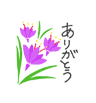 フラワーLINEスタンプ（個別スタンプ：14）