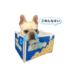 犬の気持ちだよ（個別スタンプ：4）