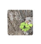 逆に考えると汎用性が高いといえるスタンプ（個別スタンプ：15）
