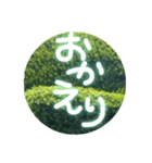 丸緑（個別スタンプ：3）