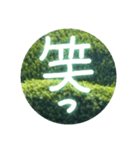 丸緑（個別スタンプ：7）