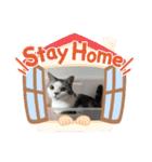にゃんこのつばきちゃん（個別スタンプ：24）