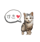にゃんこのつばきちゃん（個別スタンプ：32）