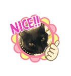 愛猫すたむぷ（だんごちゃん編）01（個別スタンプ：6）
