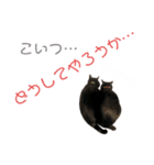 愛猫すたむぷ（だんごちゃん編）01（個別スタンプ：8）