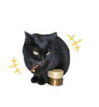愛猫すたむぷ（だんごちゃん編）01（個別スタンプ：15）