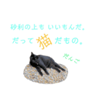 愛猫すたむぷ（だんごちゃん編）01（個別スタンプ：19）