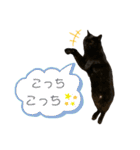 愛猫すたむぷ（だんごちゃん編）01（個別スタンプ：22）