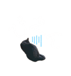 愛猫すたむぷ（だんごちゃん編）01（個別スタンプ：27）