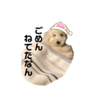 いろんななん（個別スタンプ：3）