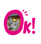 kikiちゃん(ФωФ)（個別スタンプ：1）