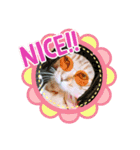 kikiちゃん(ФωФ)（個別スタンプ：6）