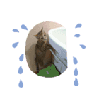 kikiちゃん(ФωФ)（個別スタンプ：9）