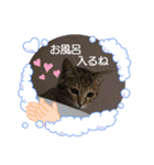 kikiちゃん(ФωФ)（個別スタンプ：12）